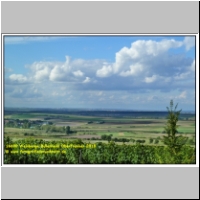 16690 Weinberge Bullenheim Oberfranken 2010.JPG